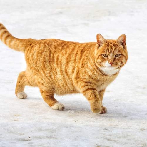 Photo #8679628