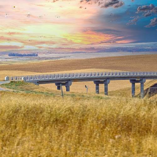 Фотография #8679684