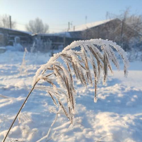 Photo #8679778