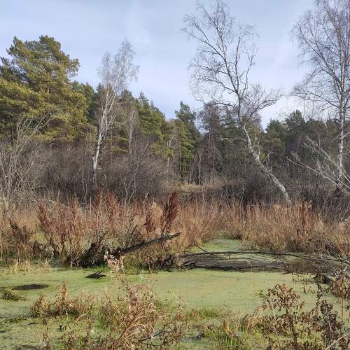 Photo #8679788