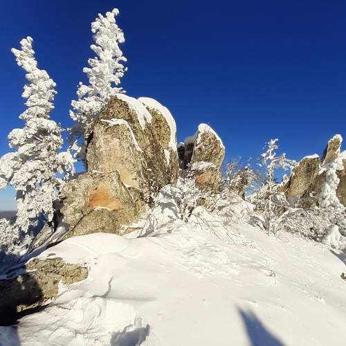 Photo #8680441