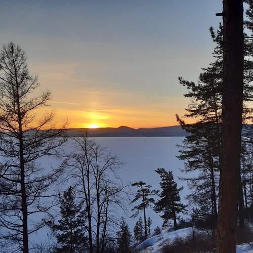 Photo #8680442