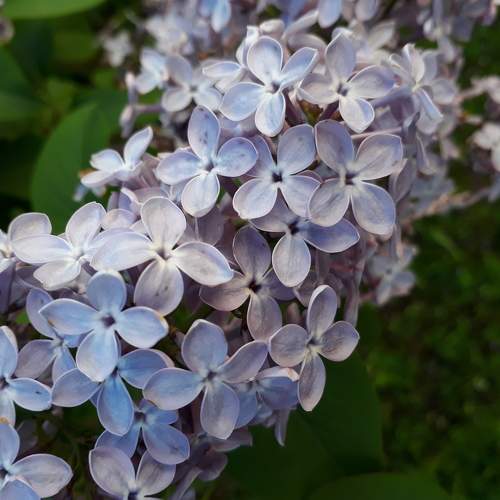 Photo #8680627