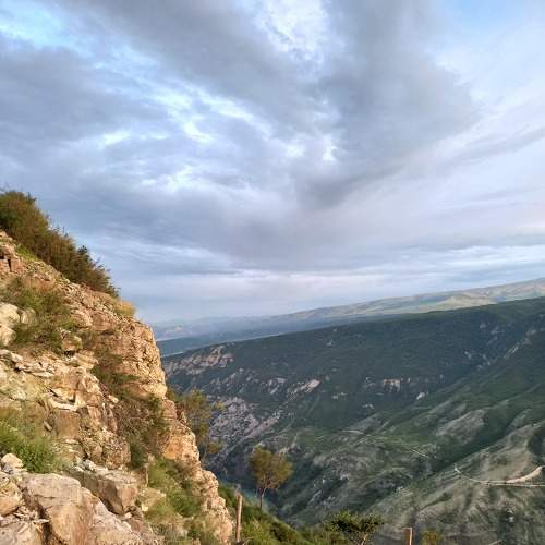 Photo #8681467