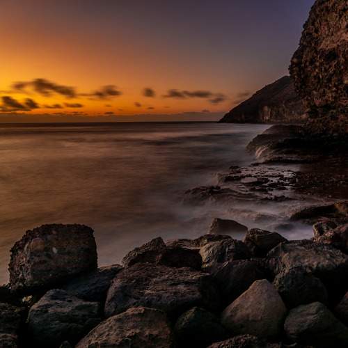 Photo #8681669