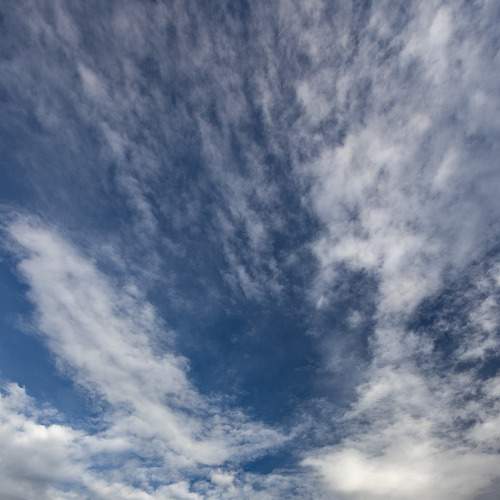 Photo #8681681
