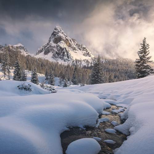 Фотография #8681705