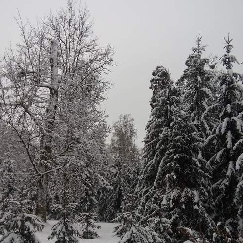 Photo #8682172