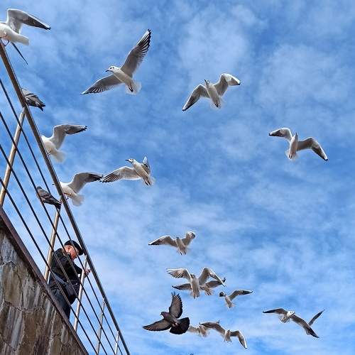 Photo #8682616