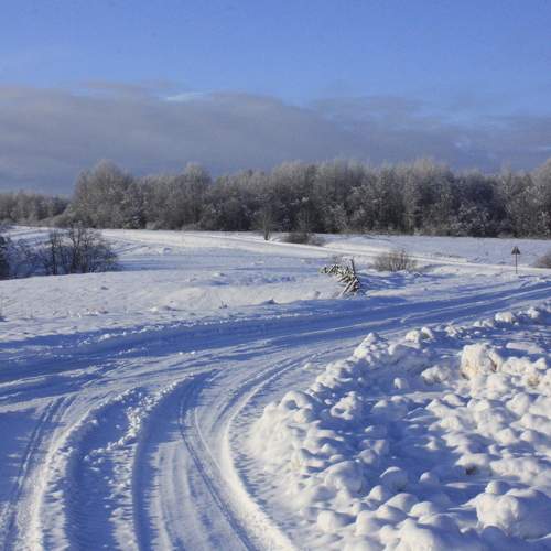 Photo #8683384