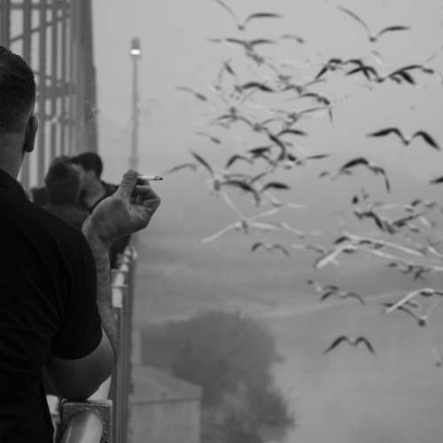 Photo #8683427