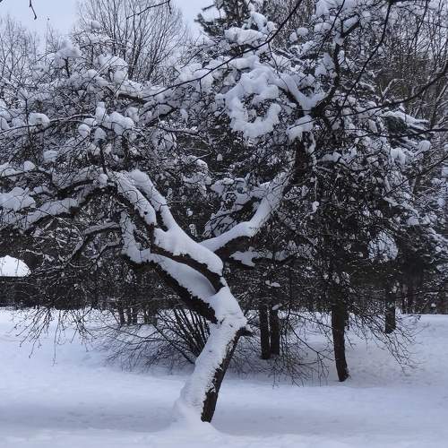Photo #8683570
