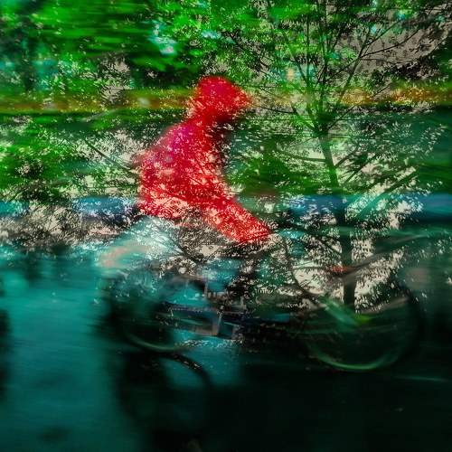 Фотография #8683891