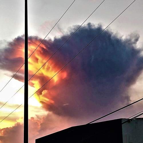 Photo #8683899