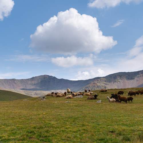 Photo #8683973