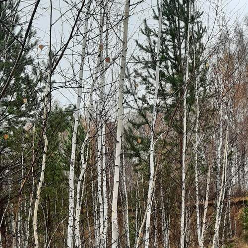 Photo #8684614