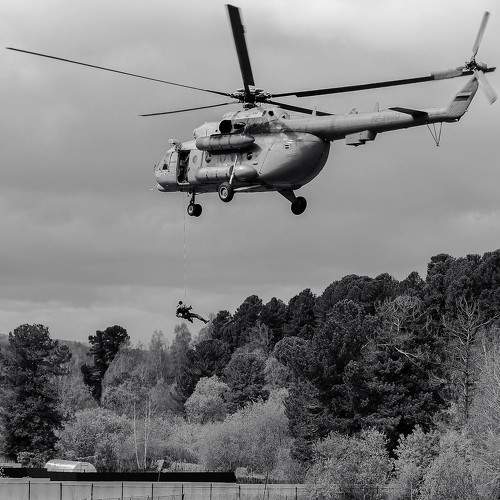 Photo #8684959