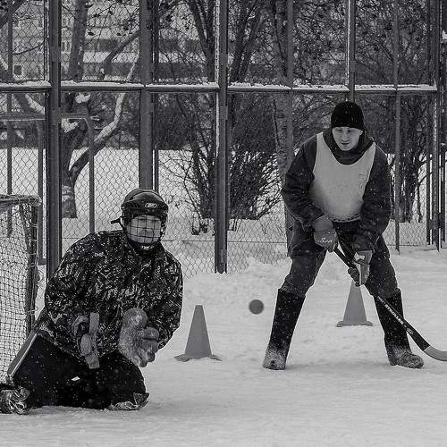 Photo #8684972