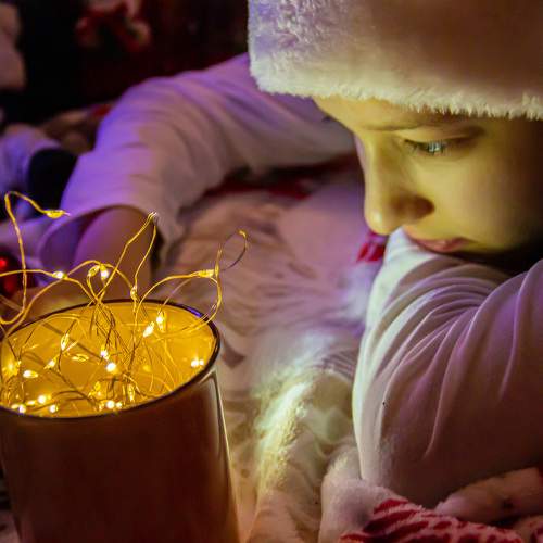 Photo #8685970