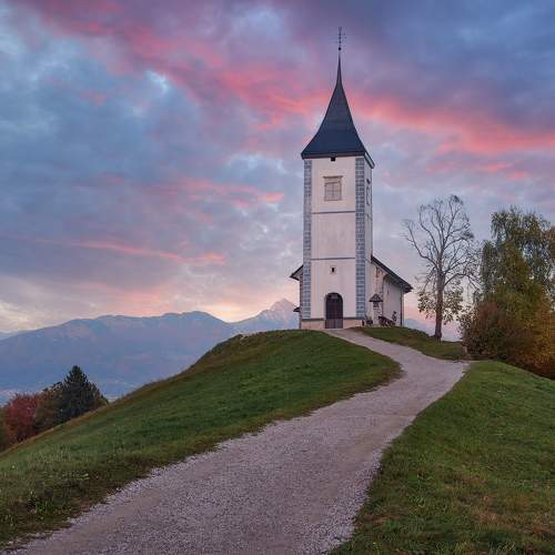 Photo #8686705