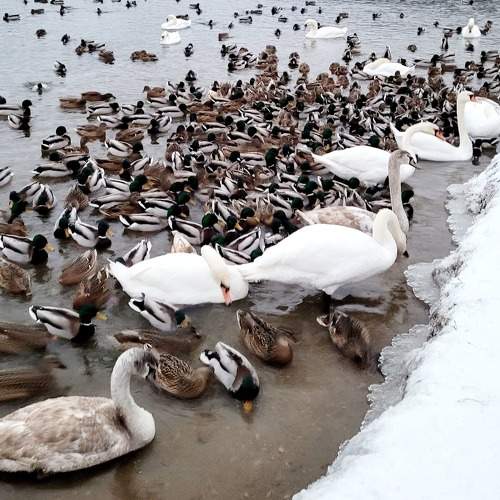 Photo #8686760