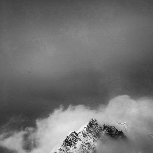 Photo #8687115