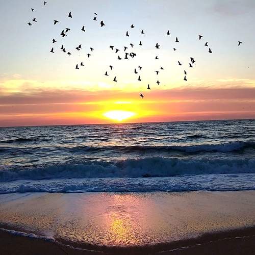 Photo #8687394
