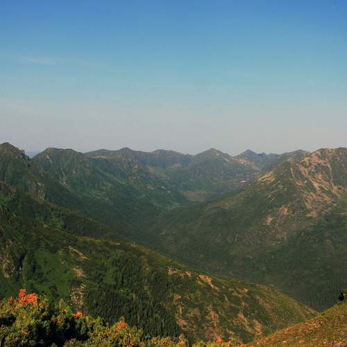 Photo #8687700