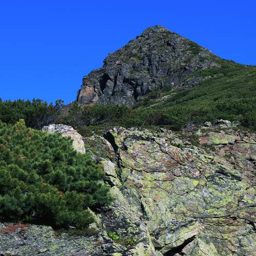 Photo #8687706