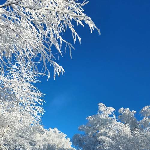 Photo #8687777