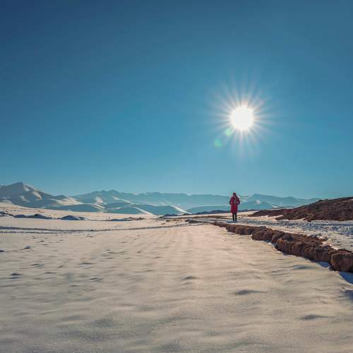 Photo #8688812