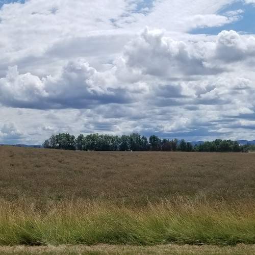 Photo #8689018
