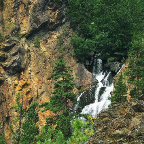 Photo #8689221