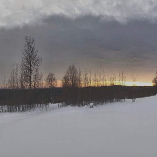 Photo #8689597