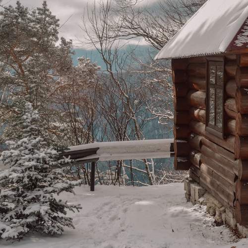 Photo #8689899