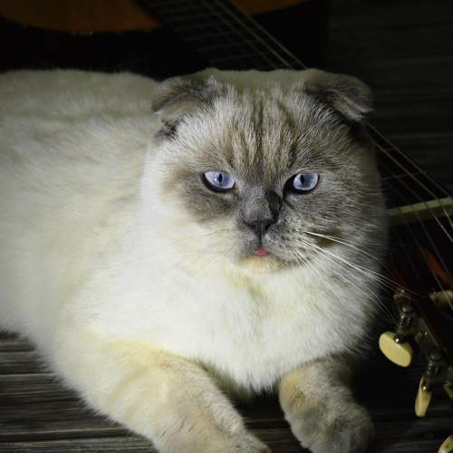Photo #8689943