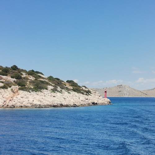 Photo #8690365