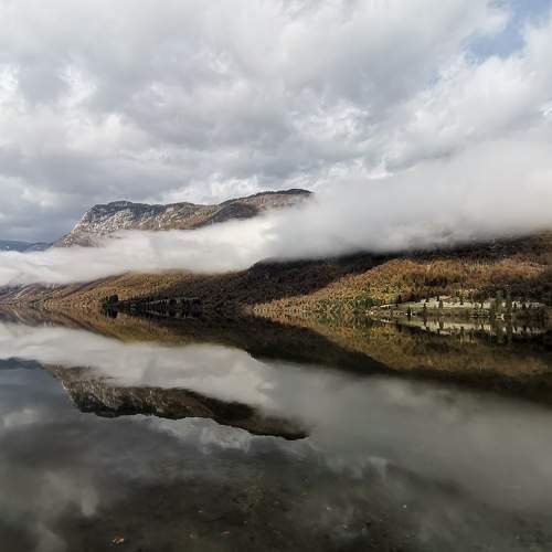 Photo #8690366