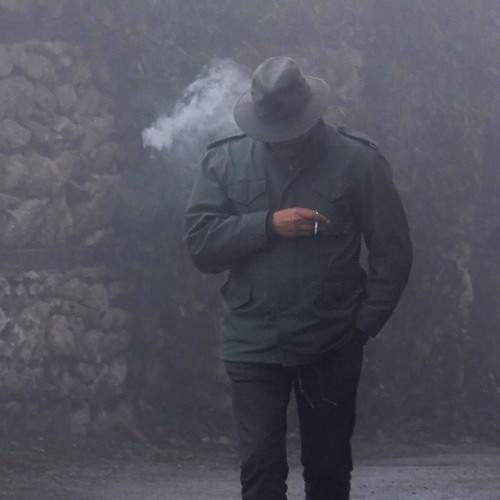 Photo #8690781