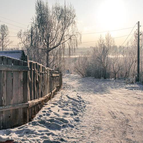 Photo #8691272