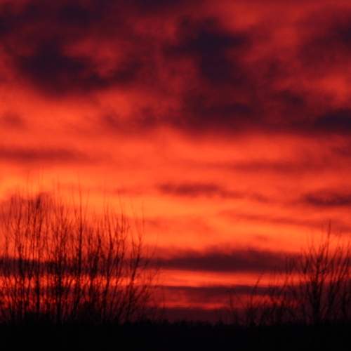 Photo #8691286