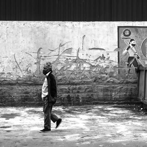 Photo #8691514