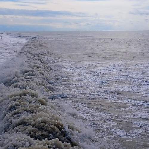 Photo #8691536