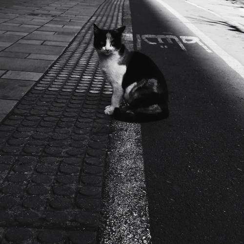 Photo #8691661