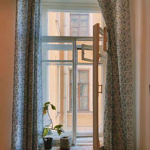 Photo #8691729
