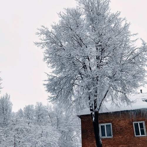 Photo #8691735
