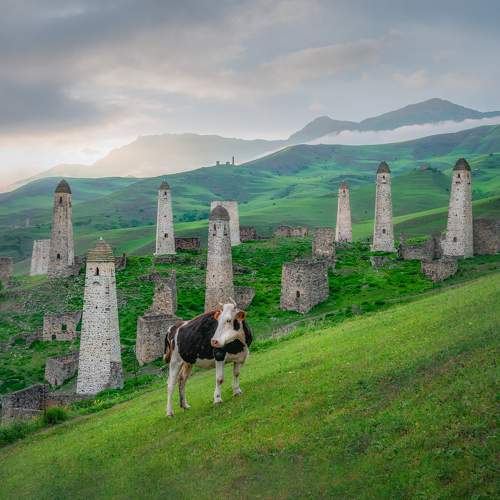 Photo #8692597