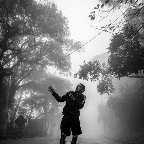Photo #8693126