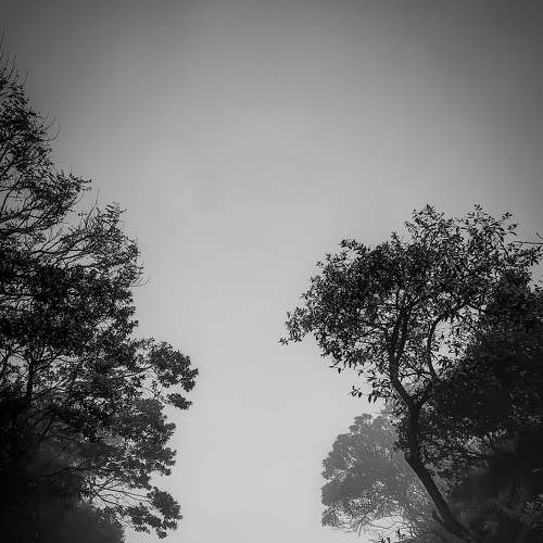 Photo #8693129
