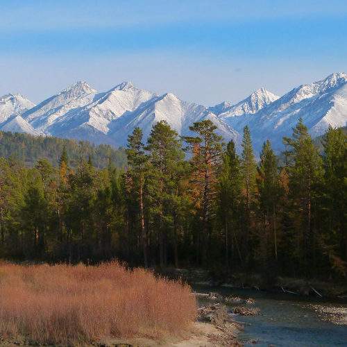 Photo #8693469